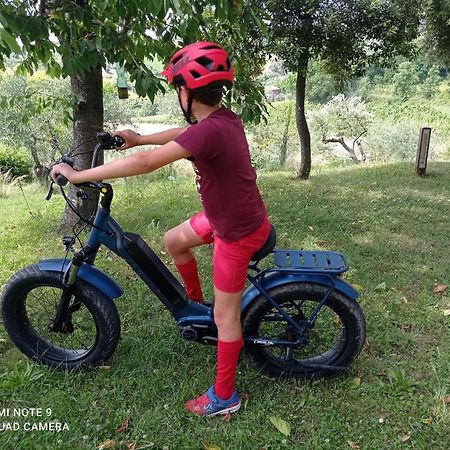 Agriturismo Il Bacucco Montecarotto Eksteriør bilde