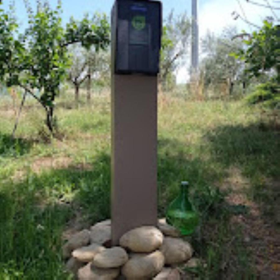 Agriturismo Il Bacucco Montecarotto Eksteriør bilde