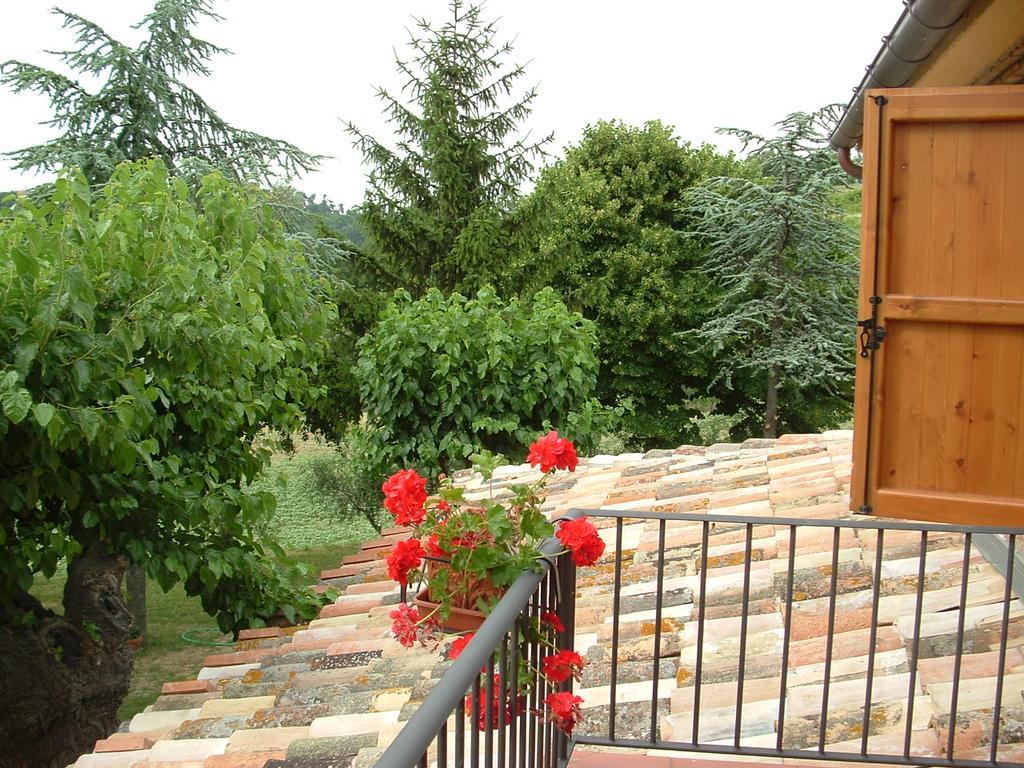 Agriturismo Il Bacucco Montecarotto Eksteriør bilde