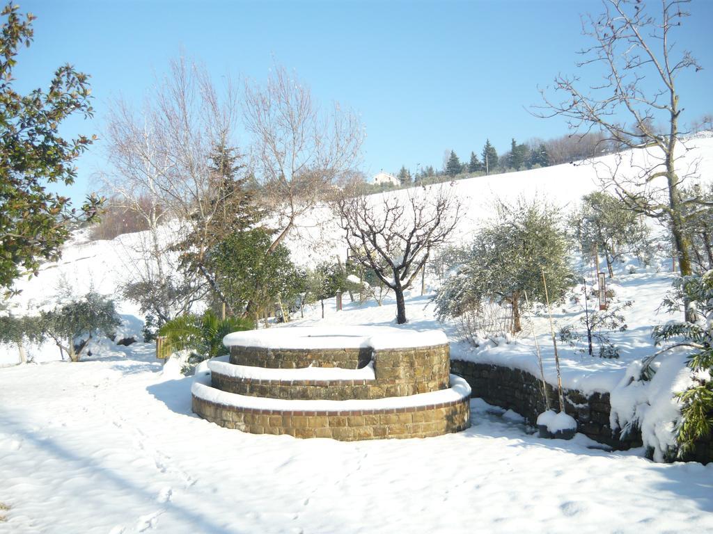 Agriturismo Il Bacucco Montecarotto Eksteriør bilde