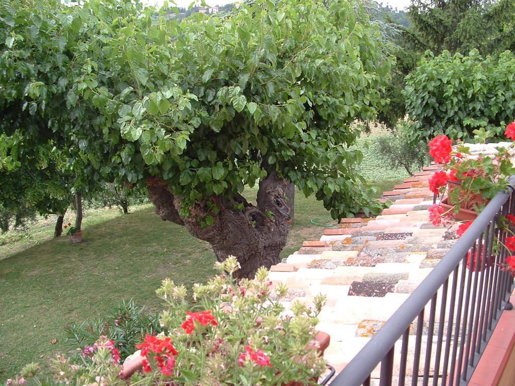 Agriturismo Il Bacucco Montecarotto Eksteriør bilde