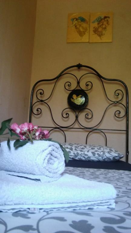 Agriturismo Il Bacucco Montecarotto Eksteriør bilde