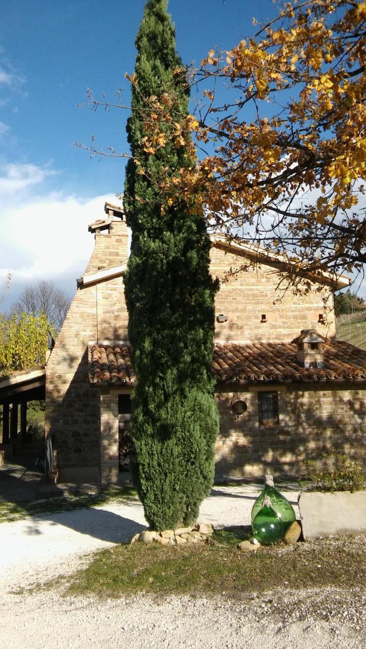 Agriturismo Il Bacucco Montecarotto Eksteriør bilde