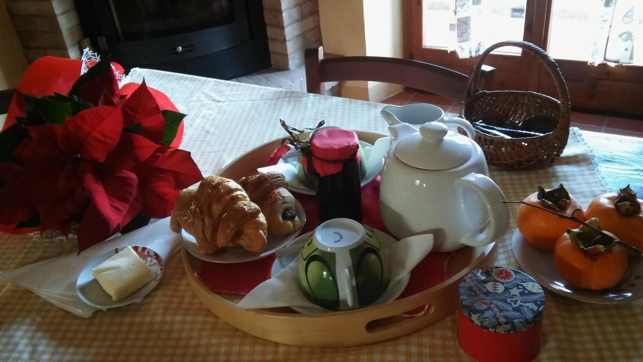 Agriturismo Il Bacucco Montecarotto Eksteriør bilde
