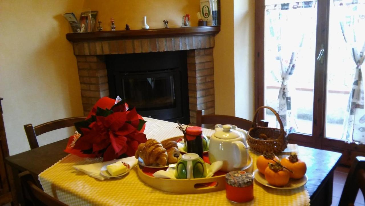 Agriturismo Il Bacucco Montecarotto Eksteriør bilde