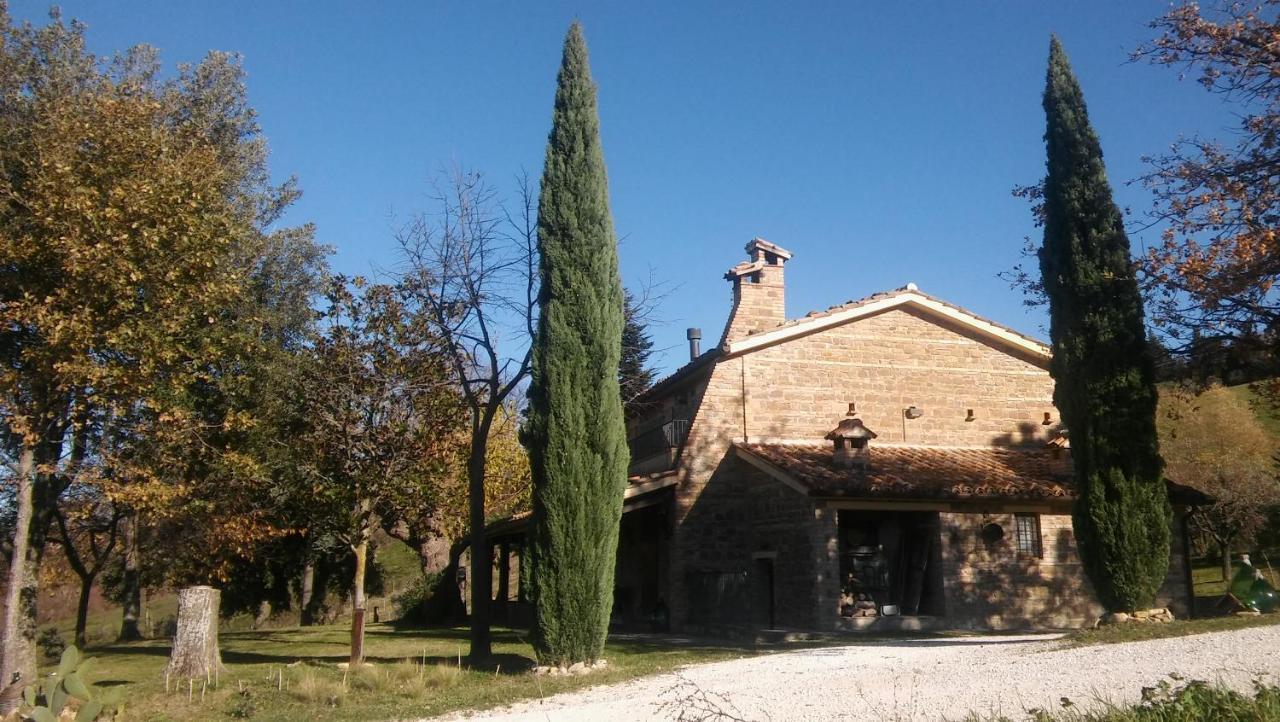 Agriturismo Il Bacucco Montecarotto Eksteriør bilde