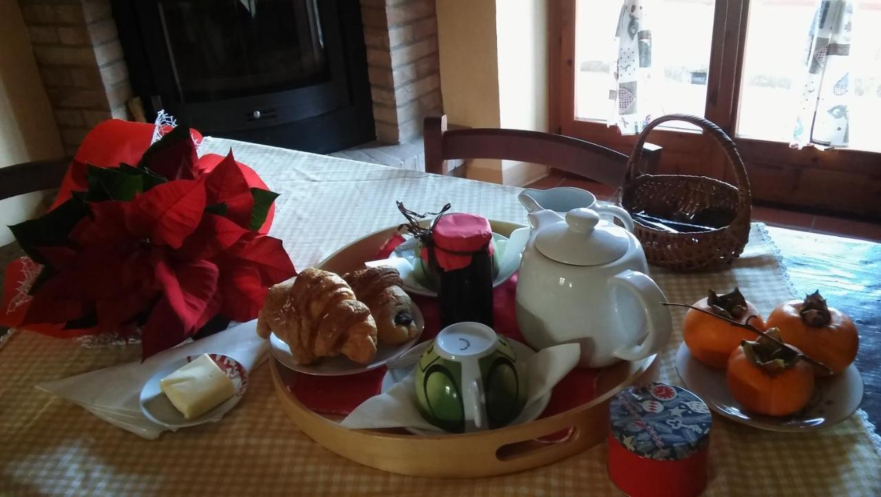 Agriturismo Il Bacucco Montecarotto Eksteriør bilde