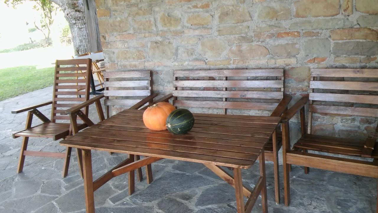 Agriturismo Il Bacucco Montecarotto Eksteriør bilde